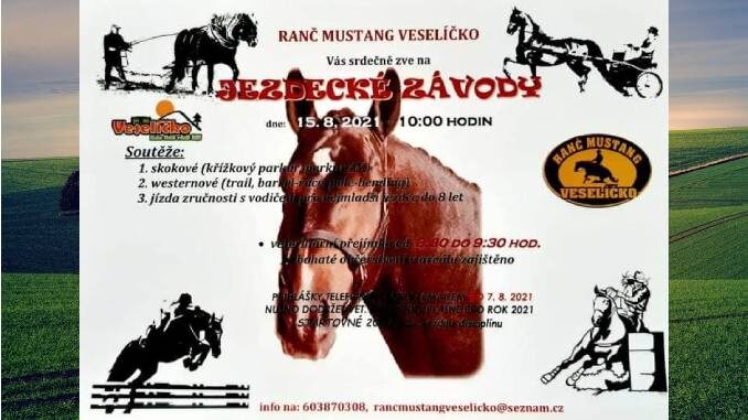 Veselicko2