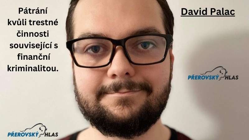 David Palac Pátrání
