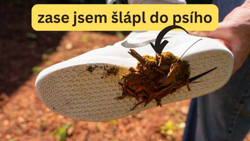 psí exkrement (hovno) na podrážce