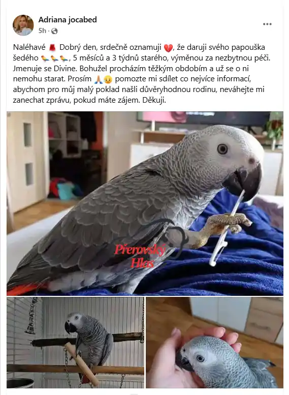 Podvod darování zvířat