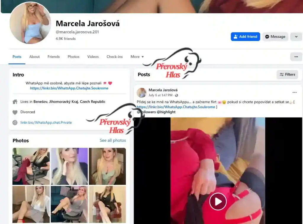 Falešný profil ženy s českým jménem podvod, phishing (1)