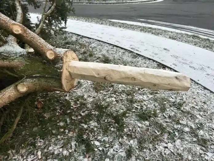 Vánoční strom Tršice 2025 instalace (3)